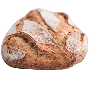 Hand holding a cookie